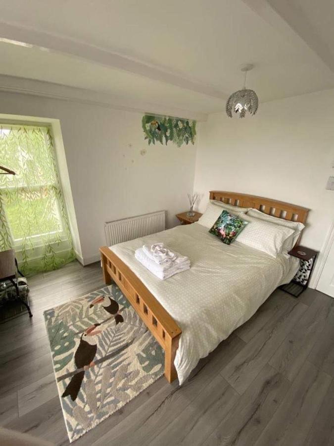 Woodlands Bellevue Bed & Breakfast New Quay  Exterior foto